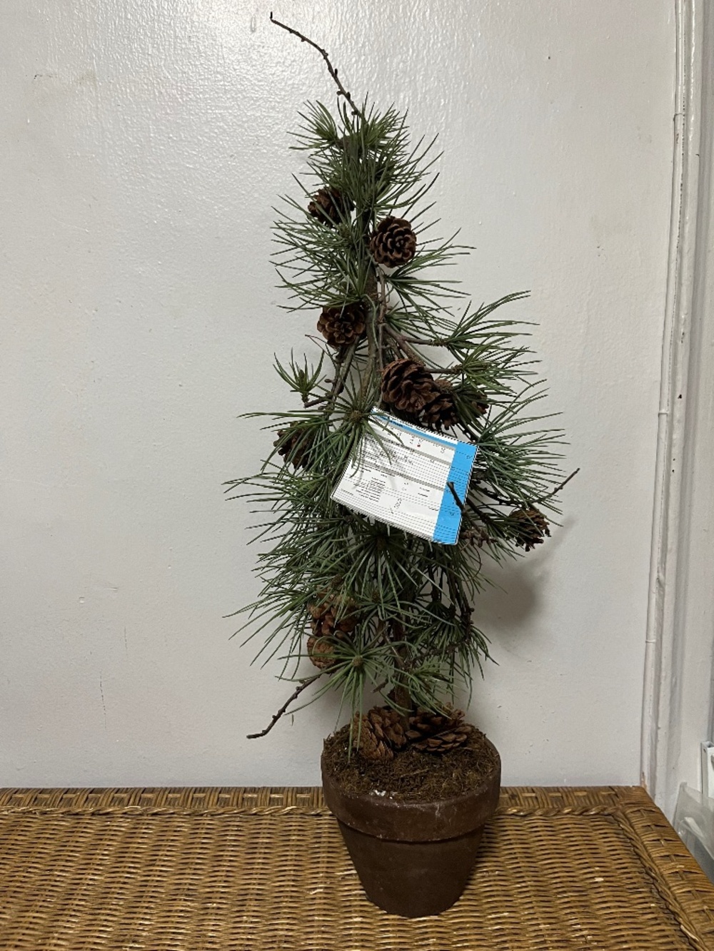 West Elm Faux Potted Pine Tree with pinecones.  Approx. 3ft.